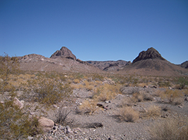 Side Trip to Oatman